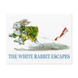 The White Rabbit escapes! Postcard