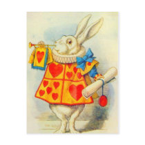 The White Rabbit Full Colour