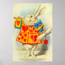 The White Rabbit Full Colour