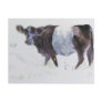 The White Stripe Postcard