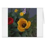 The Wild Bunch Greeting Card