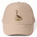 The Wild Goose	(Anser canadensis) hats