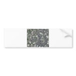 The Winding Worm A1 bumper stickers