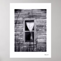 The Window Posters