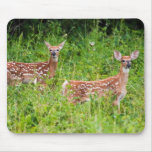 The Wonder Of It All Mousepad