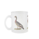 The Wood Duck	(Anas sponsa) mugs