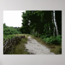 THE WOODLAND PATH 8 PRINT