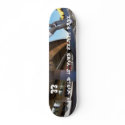 the world is your skate park 2 skateboards