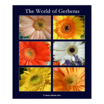 The world of gerberas posters