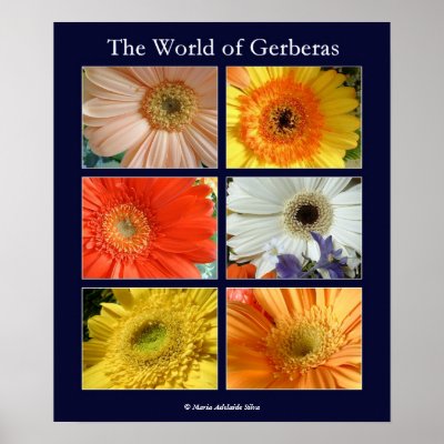The world of gerberas print by madelaide