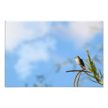 The world to explore photo art