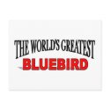 The World's Greatest Bluebird postcards
