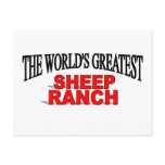 The World's Greatest Sheep Ranch postcards