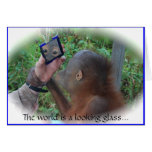 The World's Looking Glass: Face in the Mirror cards