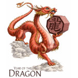 The Year of the Dragon Women's Shirts