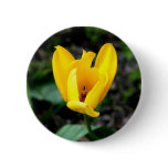 The Yellow Flower buttons