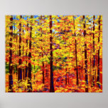 The Yellow Maple Glow posters