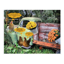 The yolks on you! postcard