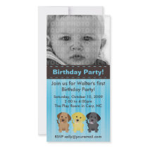 Thee Labradors Blue Birthday Invitation