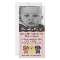 Thee Labradors Pink Birthday Invitation