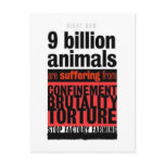 Their Suffering postcards
