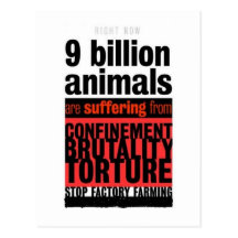 Their Suffering Postcard