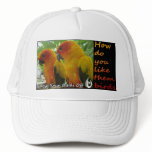 Them Birds Hats