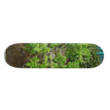  Theme Park Basil Custom Skateboard