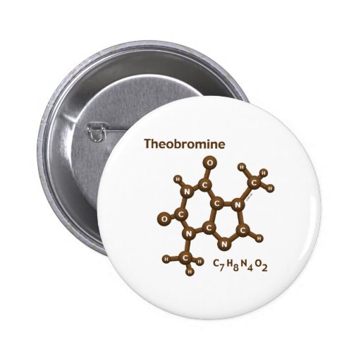 Theobromine Pinback Button