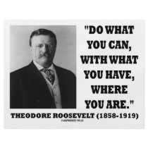 Theodore Roosevelt Do What You Can Quote