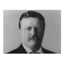 Theodore Roosevelt Portrait Postcards