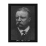 Theodore Roosevelt Postcard