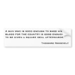 Theodore Roosevelt Quotes 2