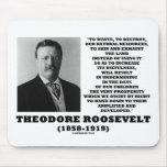 Theodore Roosevelt Waste Destroy Natural Resources mousepads