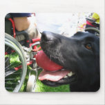 THERAPY DOG LABRADOR PHOTO mousepads