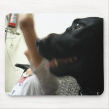 THERAPY DOG PHOTO 3 MOUSE MAT