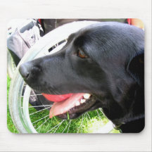 THERAPY DOG PHOTO 5 MOUSE MATS