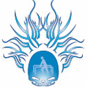 Therapy Skull photo sculptures