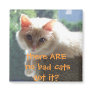 There Are No Bad Cats..Got it?