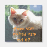 There Are No Bad Cats..Got it? Magnets
