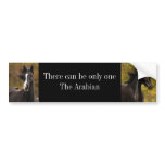 There can be only oneThe Ar... bumper stickers