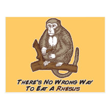Theres No Wrong Way To Eat A Rhesus Postcards