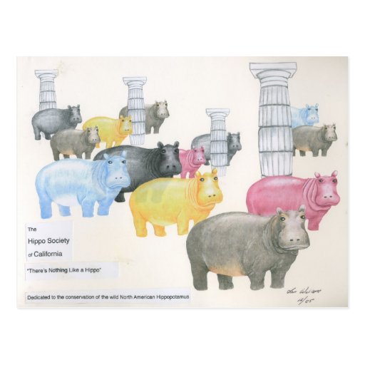 There's Nothing Like a Hippo Postcards