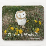 These are Weeds?! mousepads