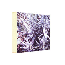 These Quiet Seasons: February Gallery Wrap Canvas