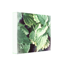 These Quiet Seasons: May Canvas Prints