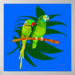 TheTwo Parrots Posters