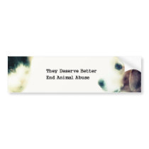 They Deserve Better Bumper Stickers