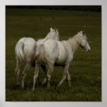 They Stood Alone posters