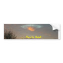 . . . They're Here!!! bumper stickers